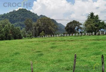 Lote de Terreno en  Jilotepec, Veracruz