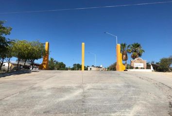 Lote de Terreno en  Calle Leona Vicario, Ampliación Juárez, Los Cabos, Baja California Sur, 23469, Mex