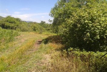 Lote de Terreno en  El Carrizal, Jonacatepec