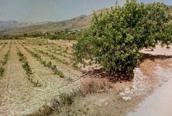 Terreno en  Benimallunt, Alicante Provincia