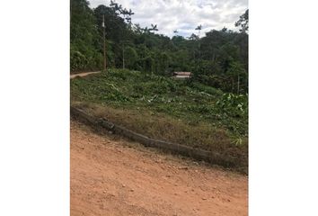 Terreno Comercial en  Pedro Vicente Maldonado