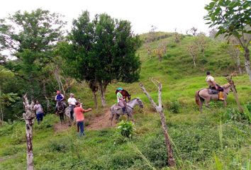 Terreno Comercial en  Rosa Zárate (quinindé)