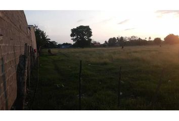 Lote de Terreno en  El Centro, Montería