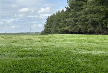 Parcela en  San Ignacio, Ñuble (región)