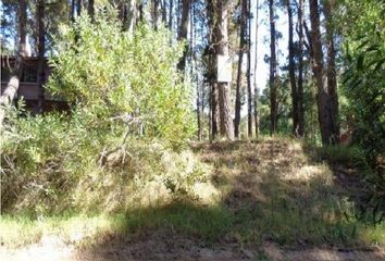 Terrenos en  Otro, Villa Gesell