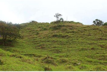 Villa-Quinta en  El Cairo, Valle Del Cauca