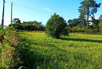 Terrenos en  Aristóbulo Del Valle, Misiones