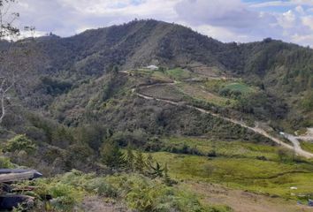 Lote de Terreno en  Concepción, Antioquia