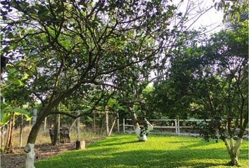 Lote de Terreno en  Río Claro, Jamundí