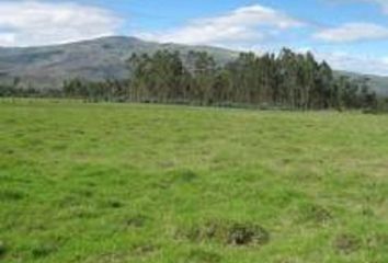 Terreno Comercial en  2qrr+cwr, Tabacundo, Ecuador