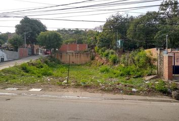 Lote de Terreno en  El Centro, Cúcuta