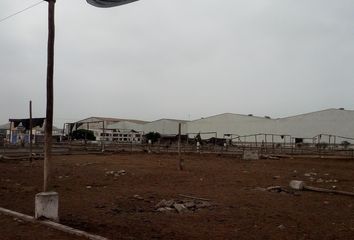 Terreno en  Eucaliptos, Lurín, Perú