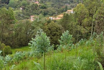 Lote de Terreno en  Ruta Nacional Vía 60, La Brizuela, Guarne, Antioquia, Col