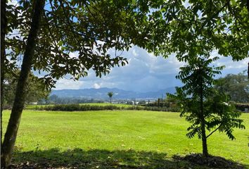 Lote de Terreno en  Rionegro Antioquía