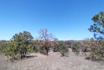 Lote de Terreno en  Zapopan, Jalisco, Mex