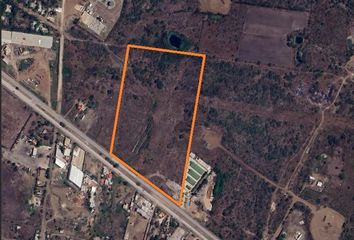 Lote de Terreno en  Miramar, Altamira