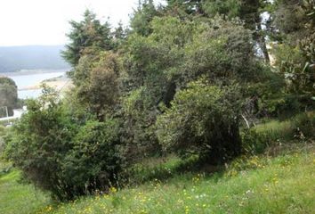 Lote de Terreno en  La Calera, Cundinamarca