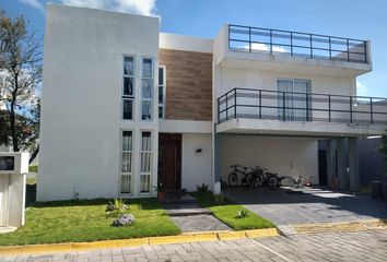 3 casas en renta en Yauhquemecan 