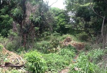 Lote de Terreno en  Calle Del Campesino, Centro, Jiutepec, Morelos, México