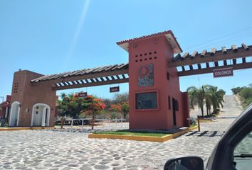 Lote de Terreno en  Rancho O Ranchería San Vicente De Juárez, Ayala