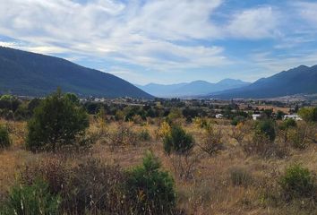 Lote de Terreno en  Arteaga, Arteaga, Arteaga, Coahuila