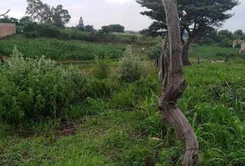 Lote de Terreno en  Bugambilias, Zapopan, Zapopan, Jalisco