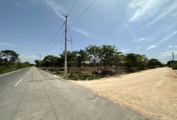 Lote de Terreno en  Calle 62, Mérida Centro, Mérida, Yucatán, 97000, Mex