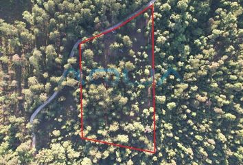 Lote de Terreno en  Avándaro, Valle De Bravo