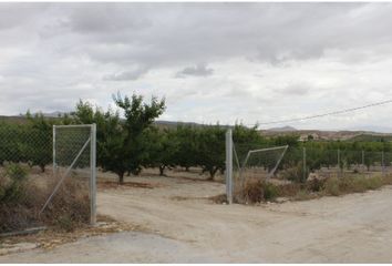 Terreno en  Albudeite, Murcia Provincia