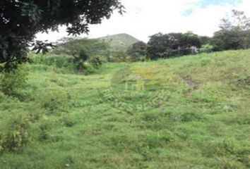 Terreno Comercial en  Sucre, Cuenca