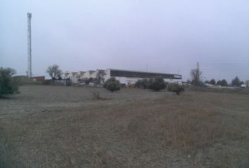 Terreno en  Pinto, Madrid Provincia