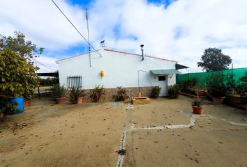 Terreno en  Puebla De Sancho Perez, Badajoz Provincia