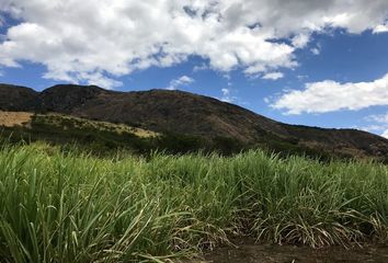 Bodega-Galpon en  Gonzanamá