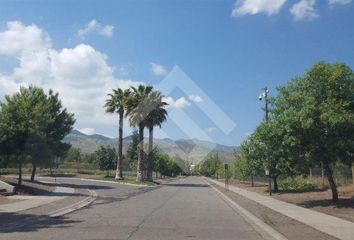 Parcela en  Colina, Chacabuco