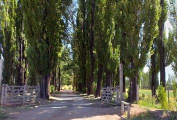 Terrenos en  Malargüe, Mendoza