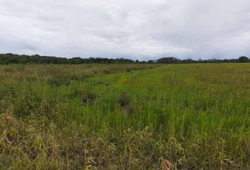 Lote de Terreno en  Vereda El Limón, Yopal, Casanare, Colombia