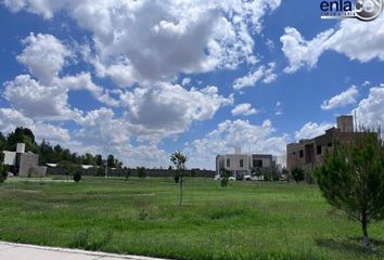 Lote de Terreno en  San Miguel, Durango