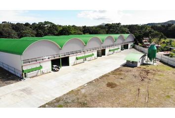 Bodega/Galera en  Cocolí, Arraiján