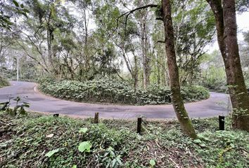 Lote de Terreno en  Coapexpan, Xalapa