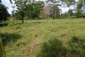 Lote de Terreno en  La Castellana, Montería