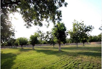 Lote de Terreno en  Las Trojes, Torreón