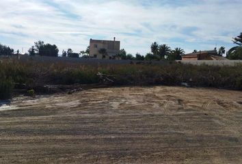 Terreno en  La Marina, Alicante Provincia