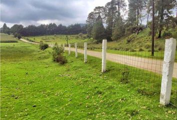 Lote de Terreno en  Chapa De Mota, Estado De México