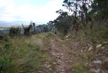 Lote de Terreno en  Altzayanca, Tlaxcala