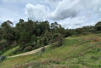 Lote de Terreno en  Rionegro Antioquía