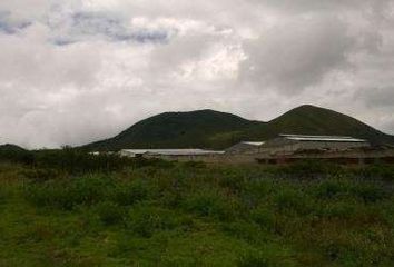 Terreno Comercial en  Jose Joaquin De Olmedo 1131, Calacalí, Ecuador