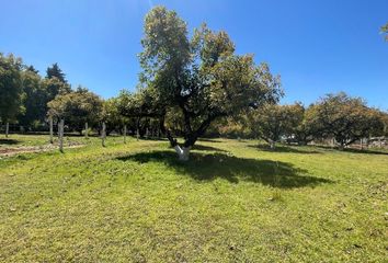 Lote de Terreno en  Estado De México, Valle De Bravo, Casas Viejas, Mexico