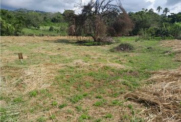 Lote de Terreno en  Anatolí, La Mesa