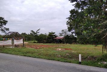 Rancho en  Puerto Morelos, Quintana Roo