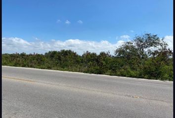 Lote de Terreno en  Chicxulub Pueblo, Yucatán